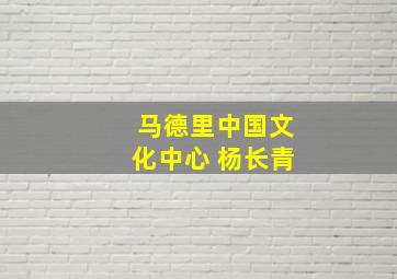 马德里中国文化中心 杨长青